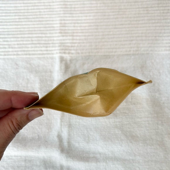 Arbonne Konjac Cleaning Sponge with Charcoal - Picture 4 of 7